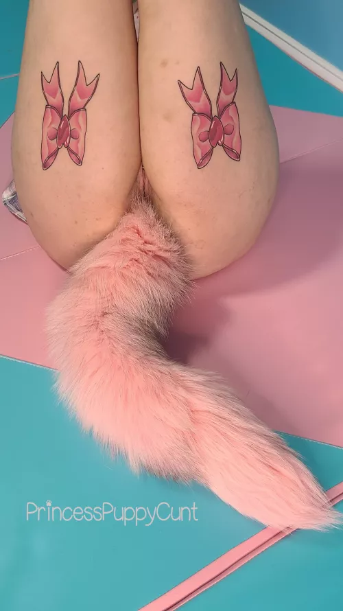 New tail, who this? 🤭