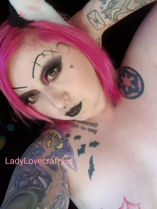 Pink kitty 💖