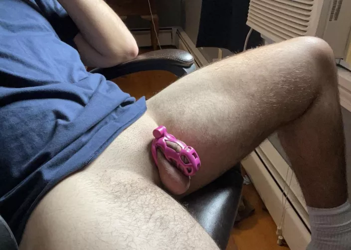 Still in love with my new cage, should I go smaller or is this a good fit??