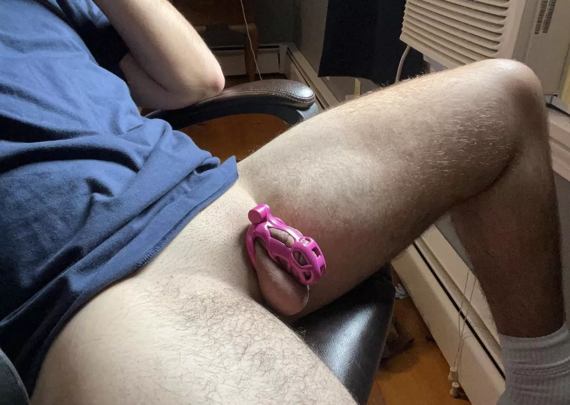 Still in love with my new cage, should I go smaller or is this a good fit??