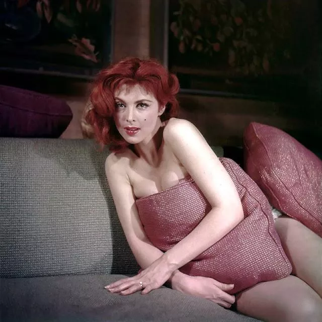 Tina Louise (1960s)