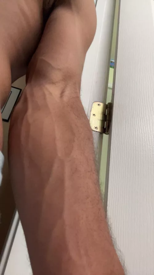 What do you think of this POV?