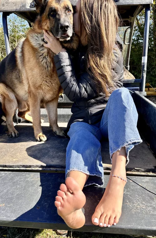 Where are my dog lovers?