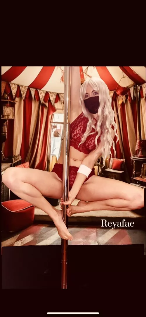 Would you trust this trickster in your tent?