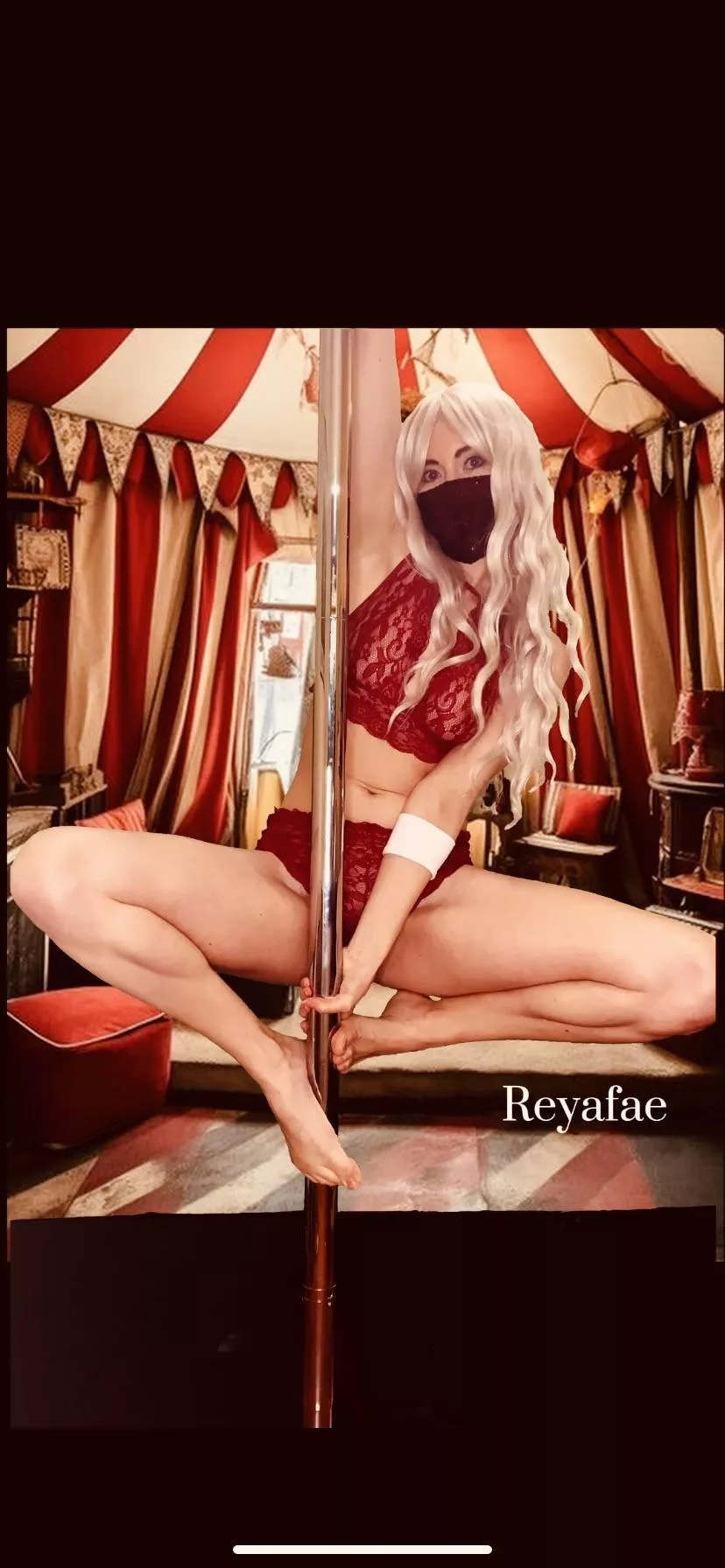 Would you trust this trickster in your tent?