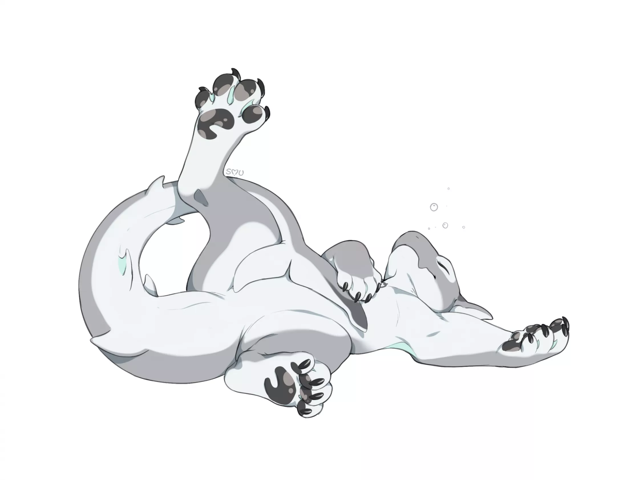 Zephyr shark [M] (smileeeeeee)