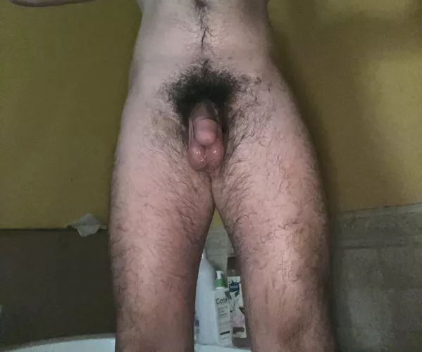 [25] low hangers gang