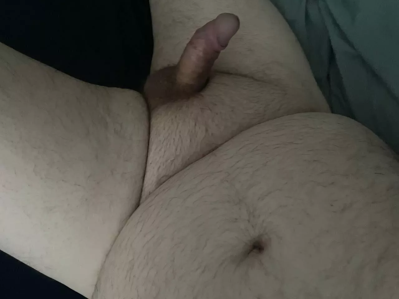 A little turkey day cuddles?