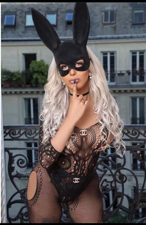 Black Bunny