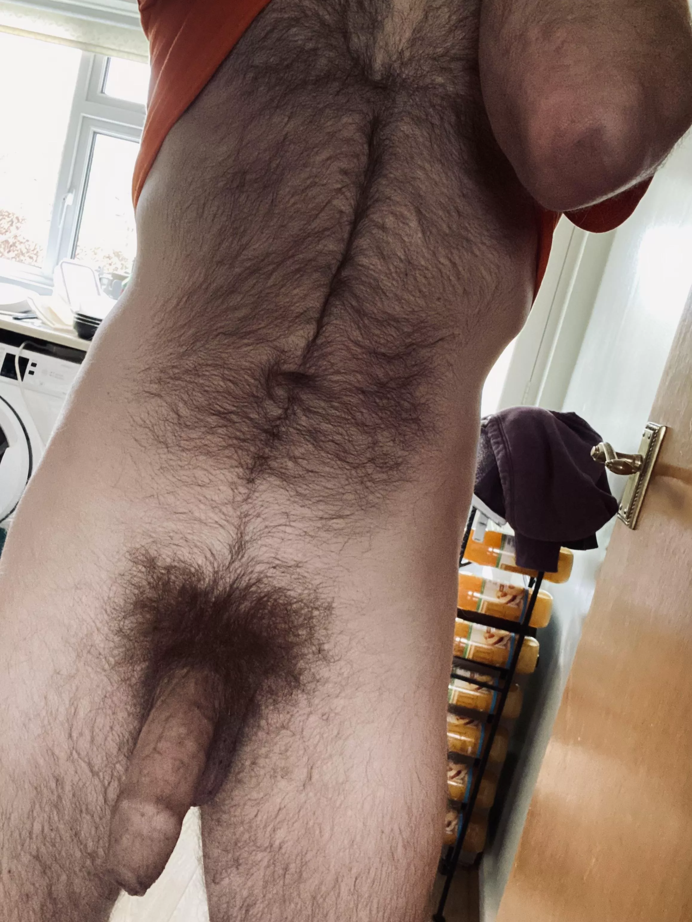 English otter seeks mate - apply below