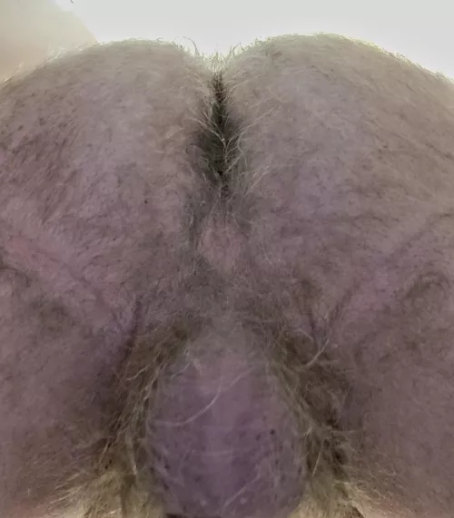Happy Thanksgiving! Ready for a hairy, moist, delicious meal? (58)