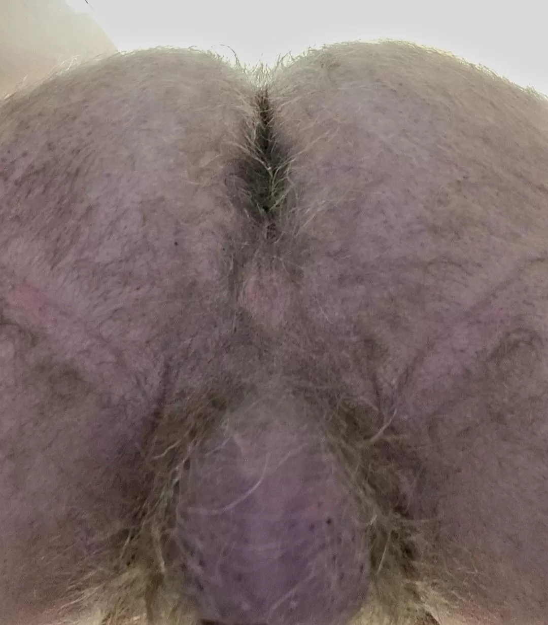 Happy Thanksgiving! Ready for a hairy, moist, delicious meal? (58)