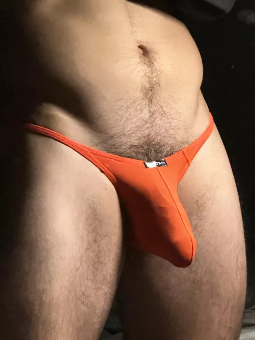 Happy turkey day thong