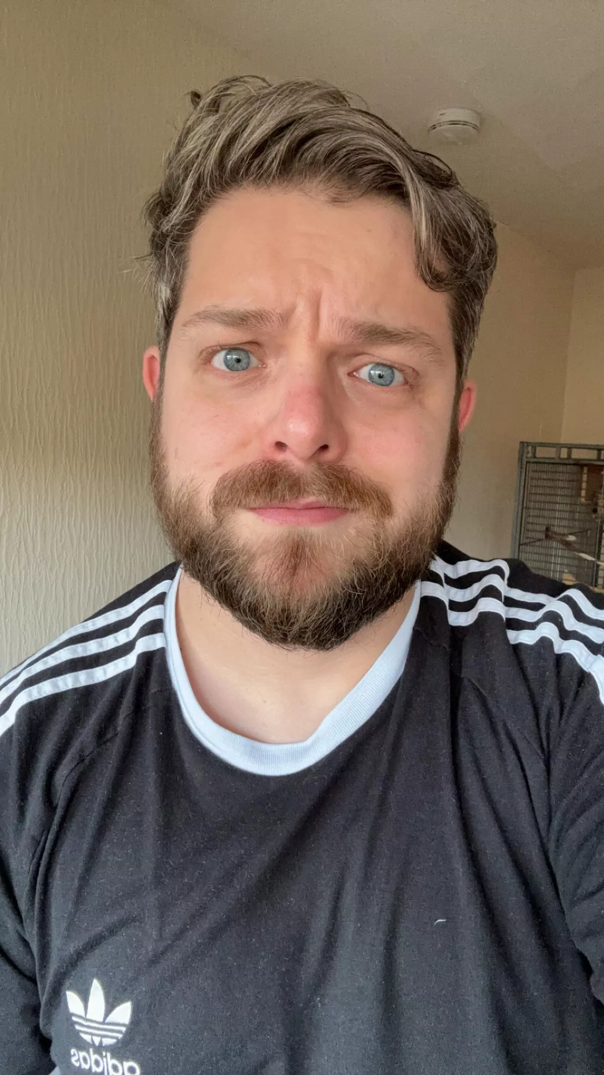 Hope your Friday is going well