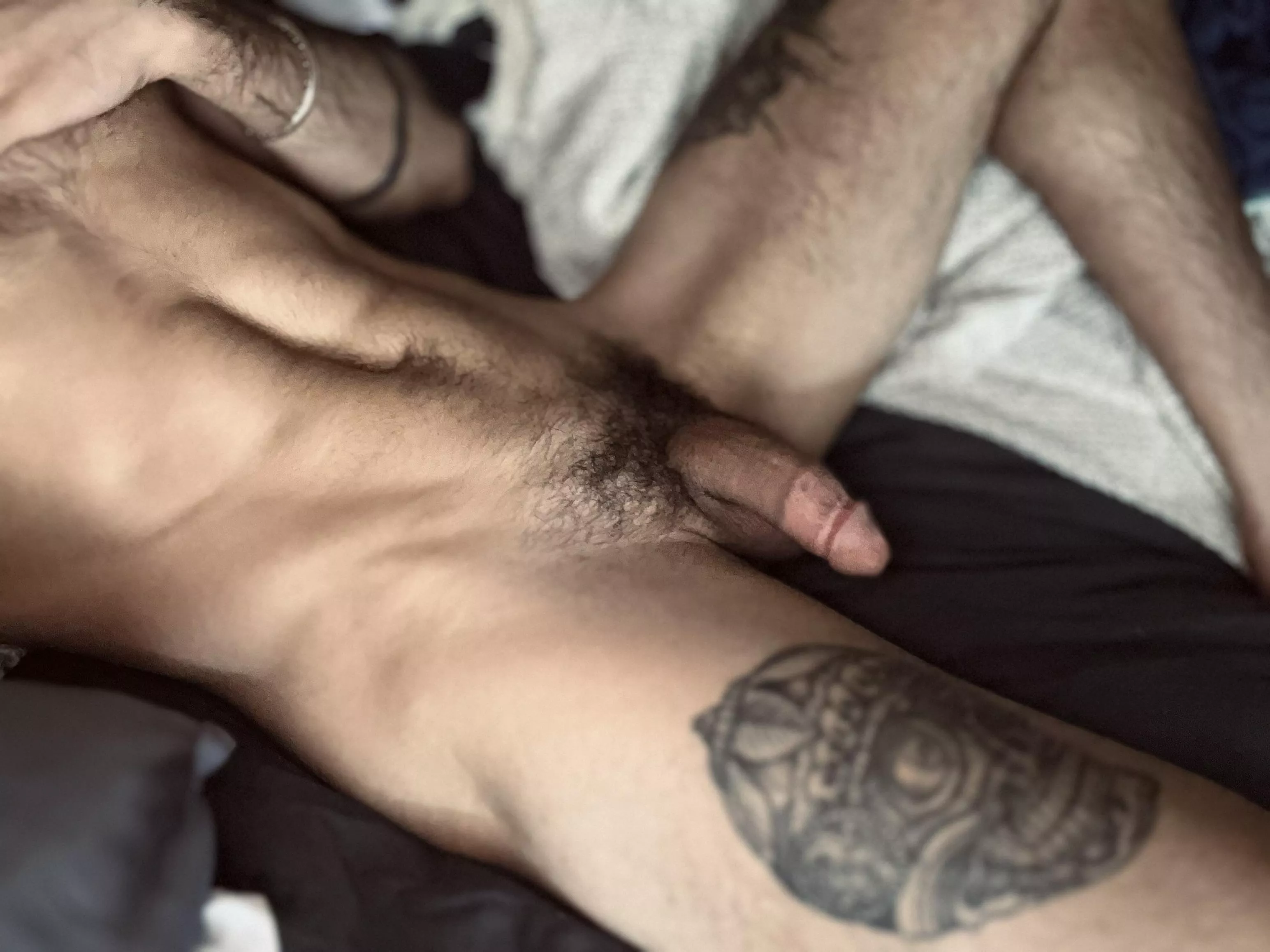 I hope even got to stuff that special turkey their life yesterday