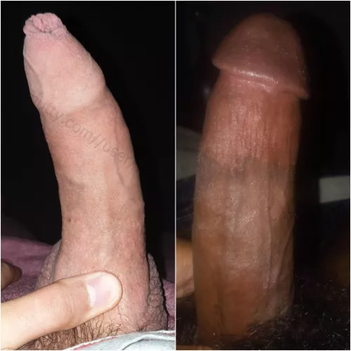 Im on the left (17 cm) vs. AdmirableKale1594 (22 cm) on the right