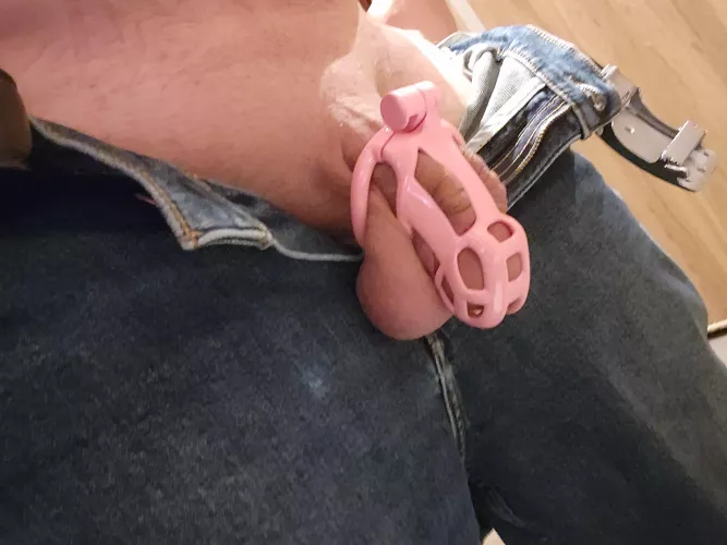 My mistress loves this new cage. 🥵