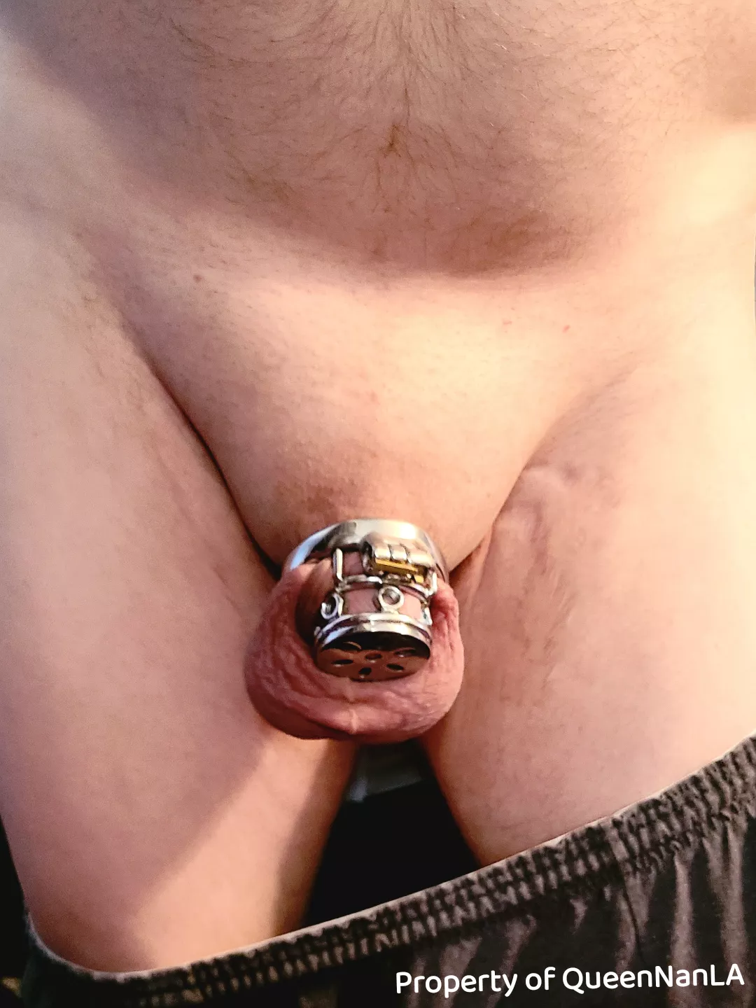 Repost. Clean shaven and locked up again without playtime, all for my Queen's amusement.