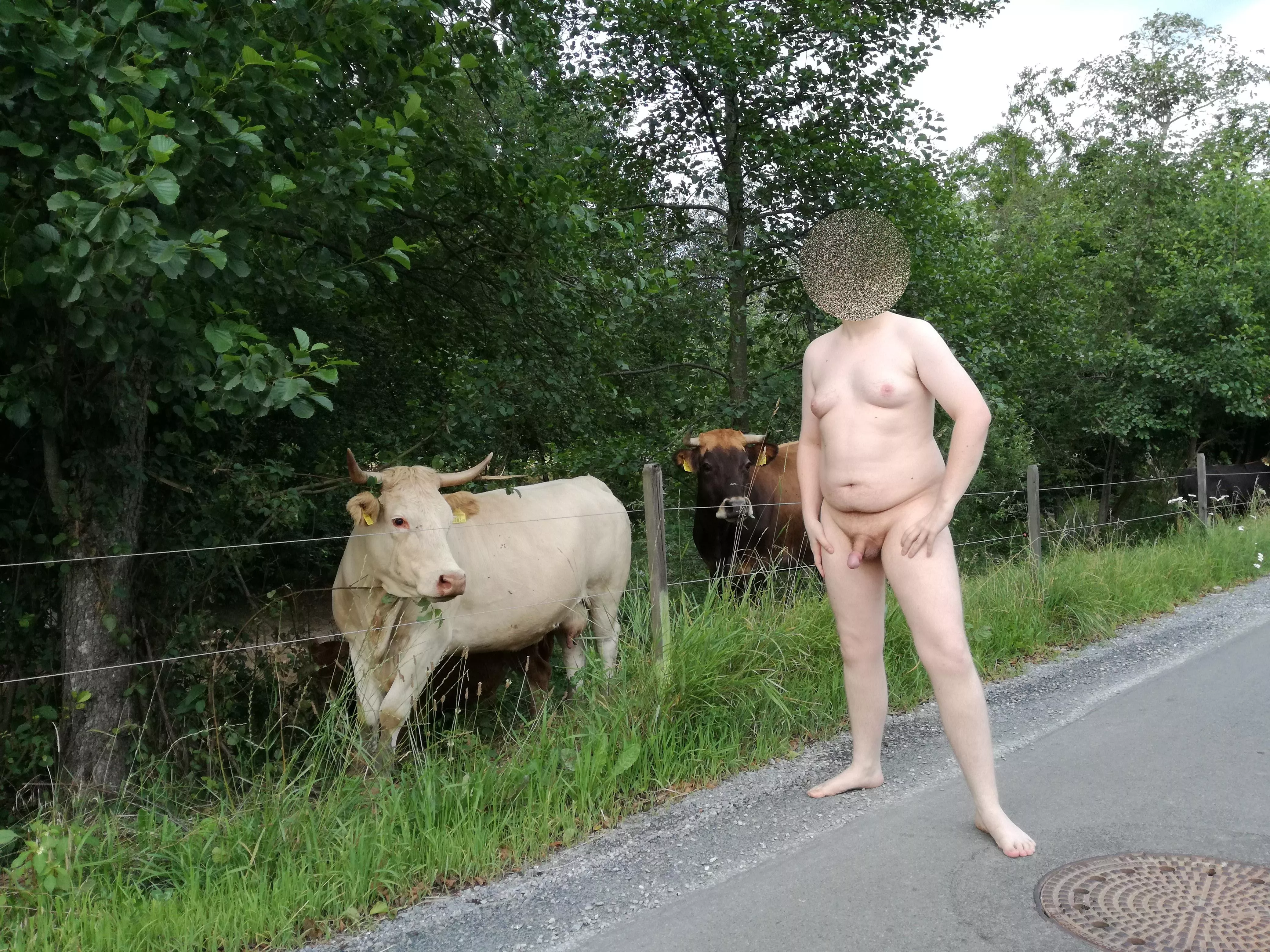 Someone seems curious