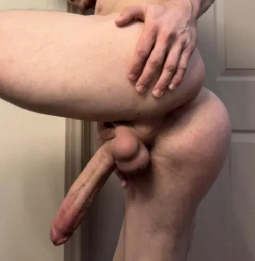 Stuff me like a Thanksgiving turkey 🦃