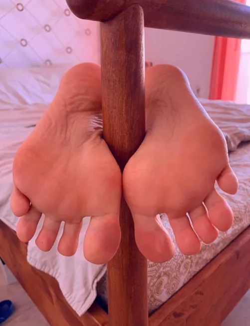 The bed is so nice... So hard, my soles need something different ;)