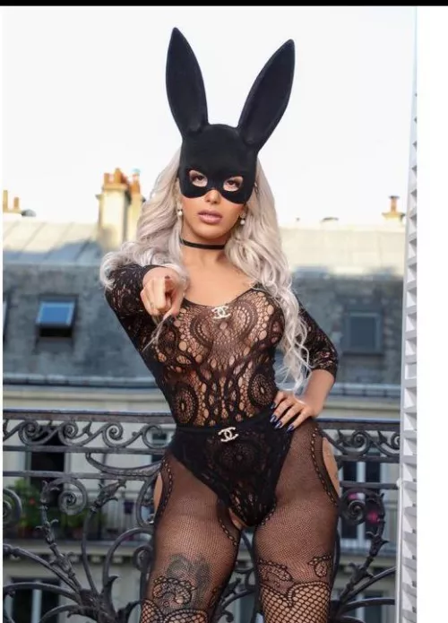 The cute rabbit needs an owner😅