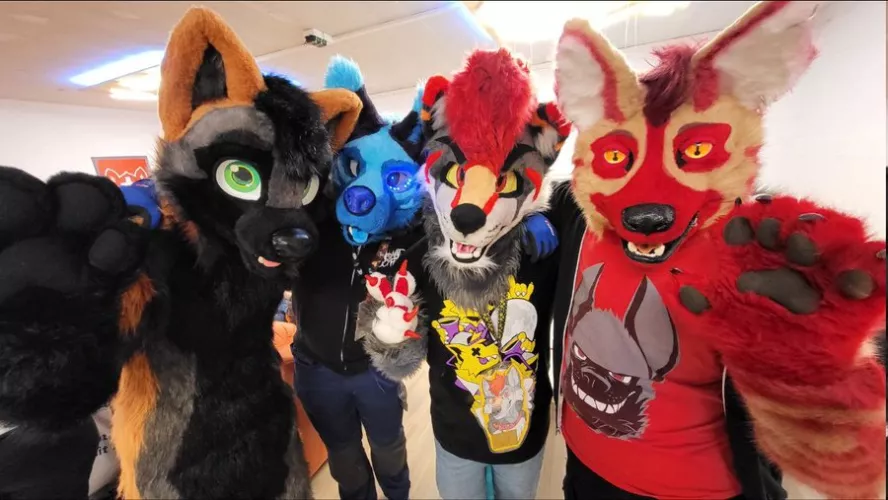 The furmeets in Bern, Switzerland are alway fun x)