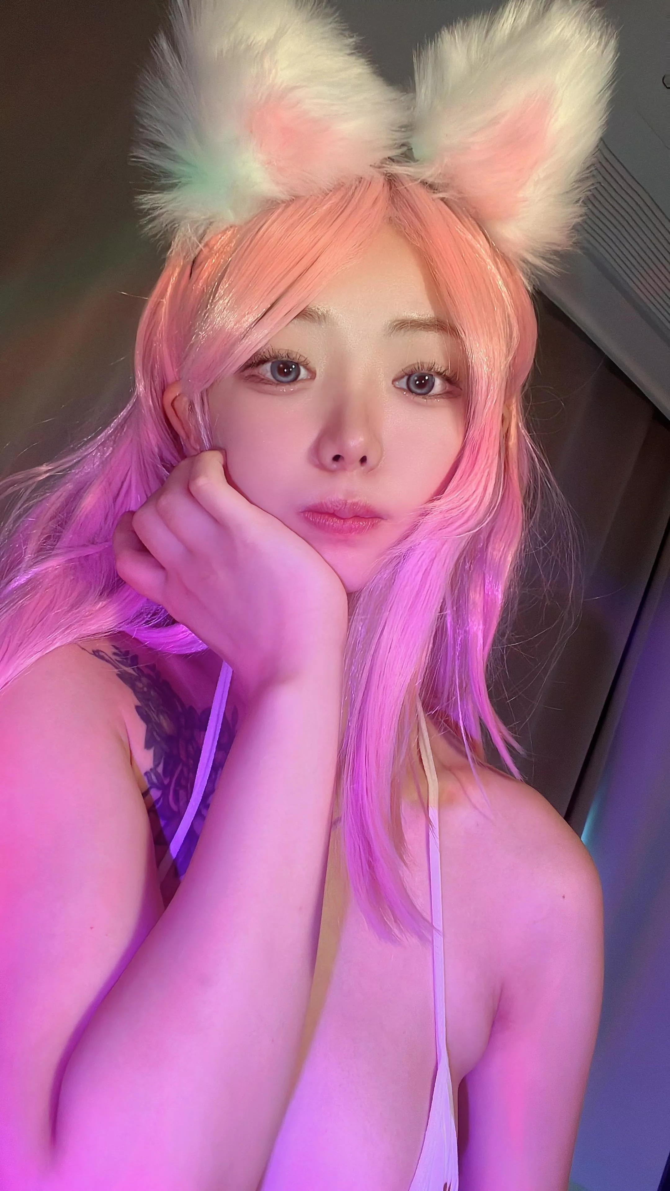 this little rabbit also wants love