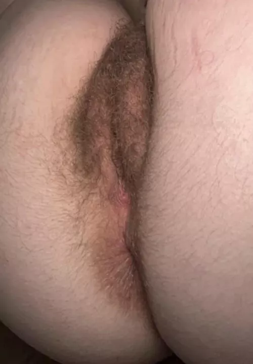 What are you [h]aving for thanksgiving dinner?