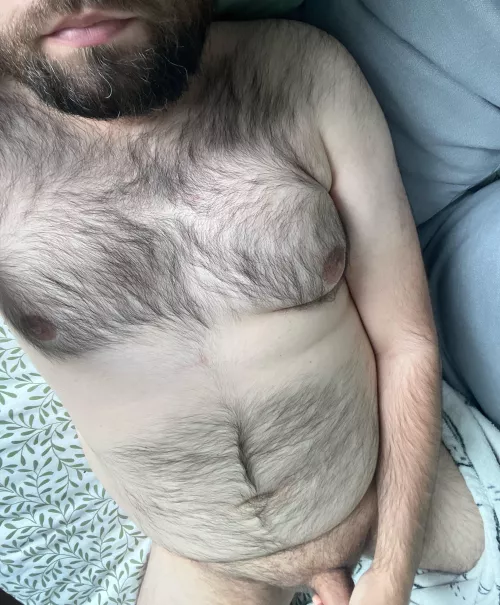 33 top bear looking for jerkbud.