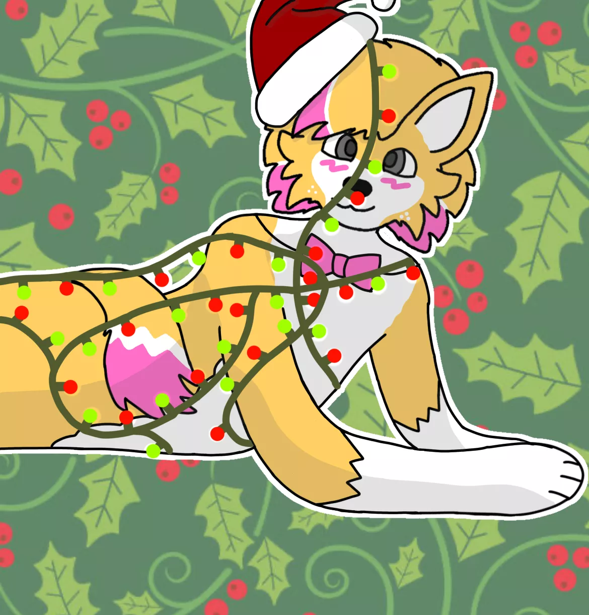 Christmas time has begun!