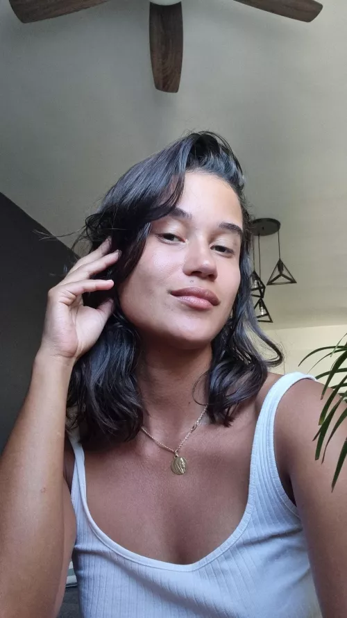 Colombian x Frenchie