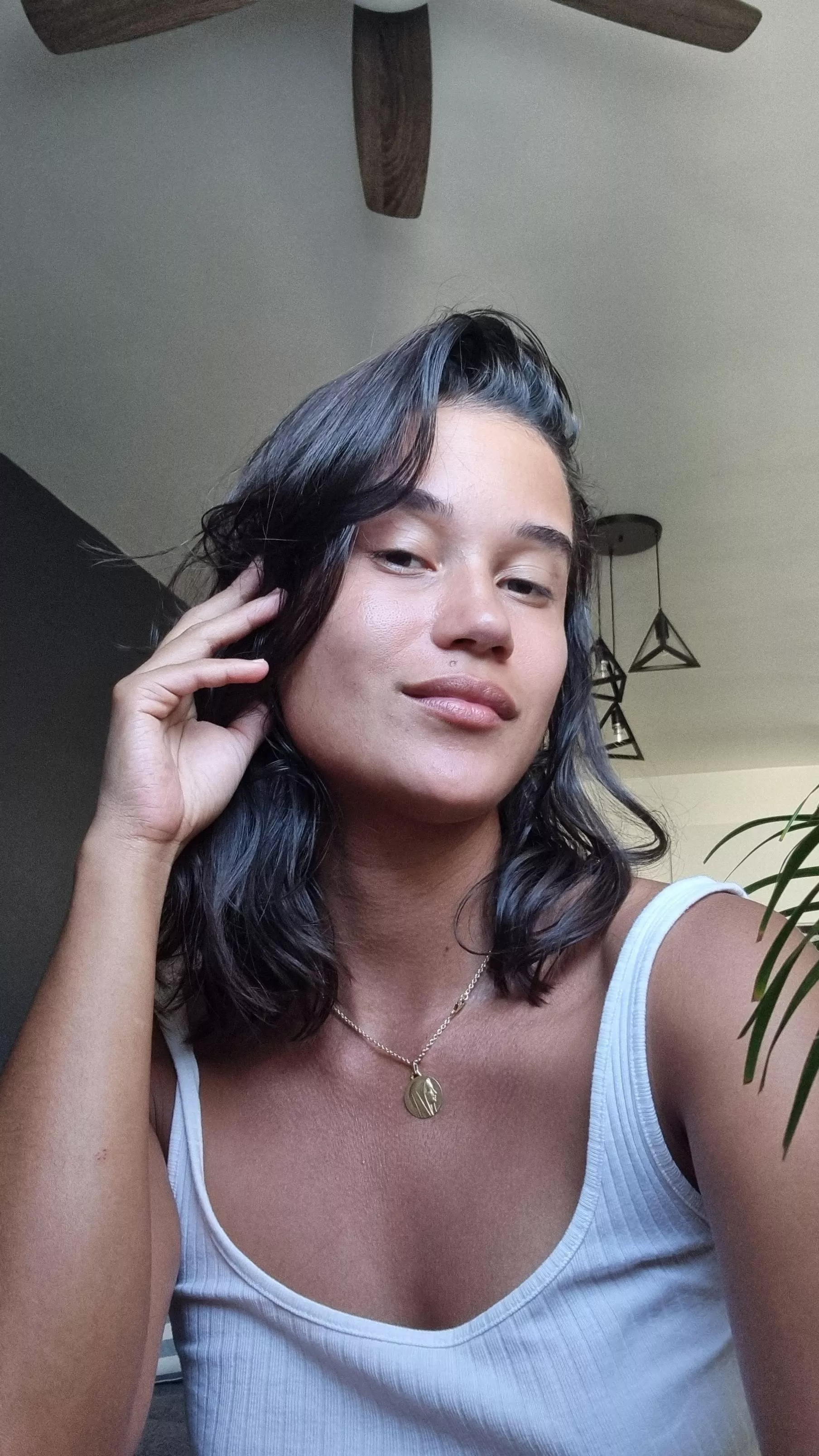 Colombian x Frenchie