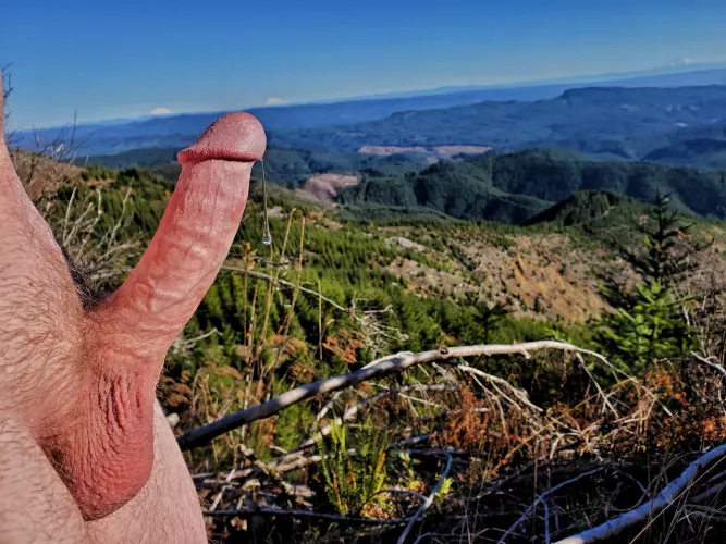 Enjoying some mountain views on this fine Black Friday