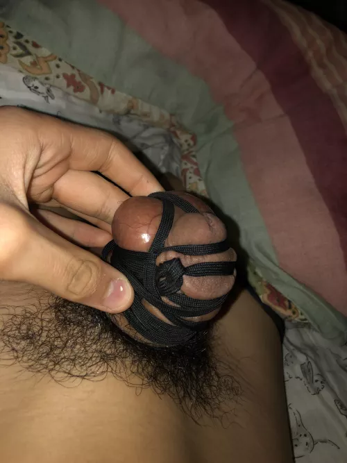 First time tying up! What do you guys think?