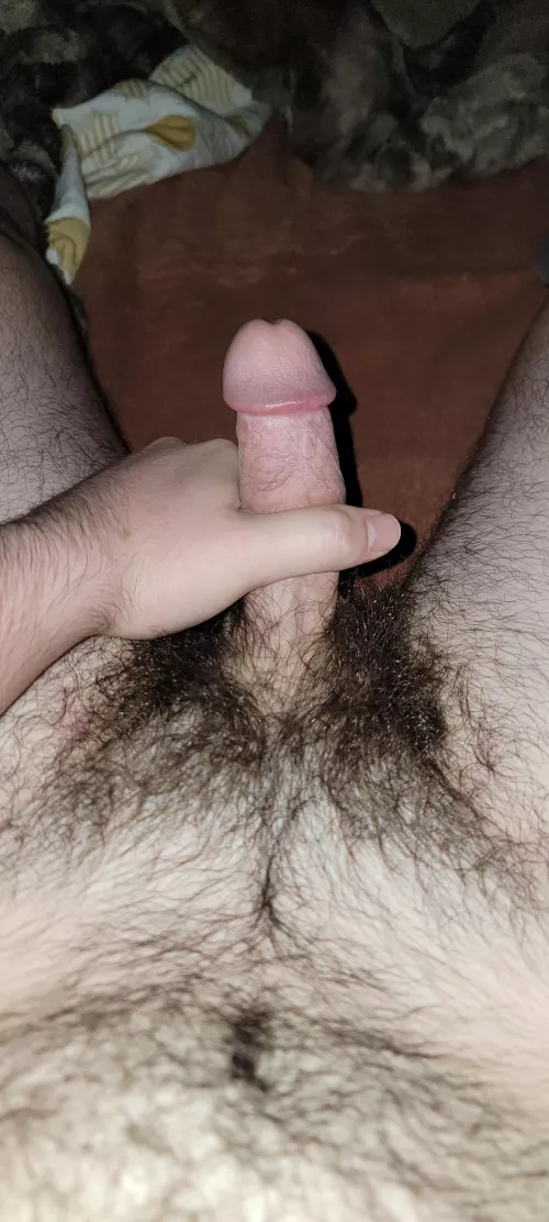 Hairy boy