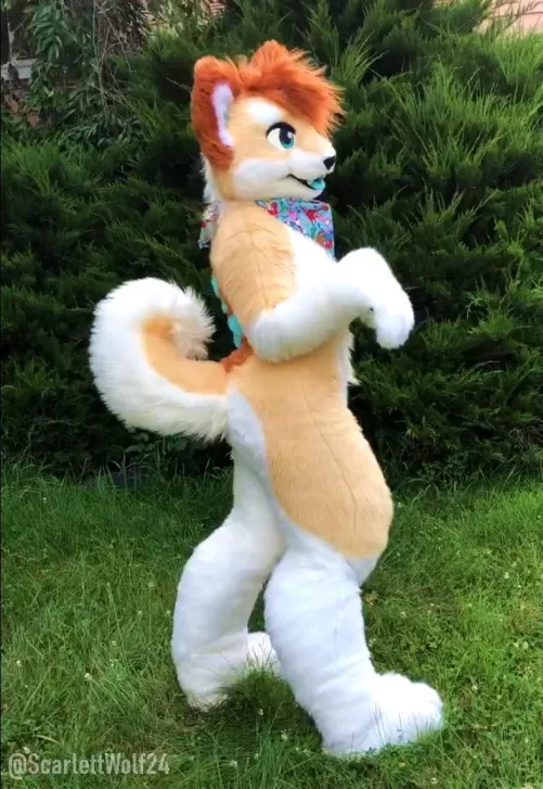 Happy Fursuit Friday! 🐾🐾