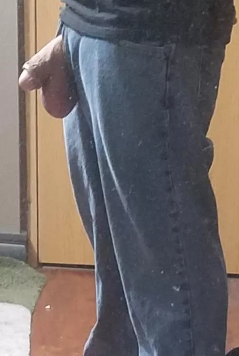 It doesn't like to be in pants