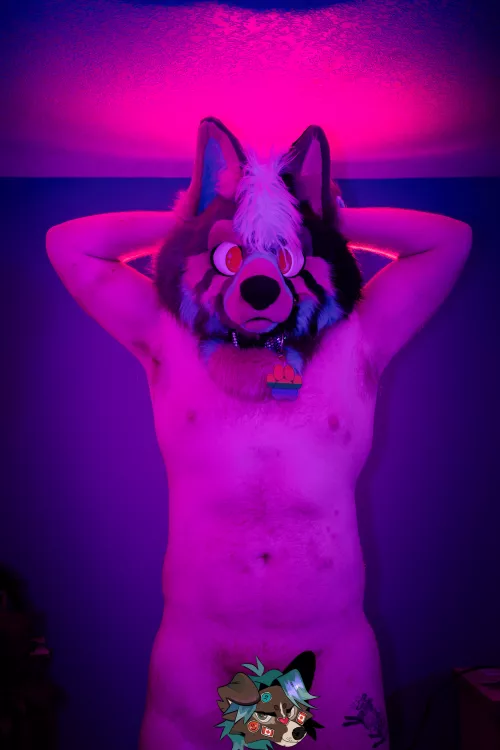 Making some progress at the gym