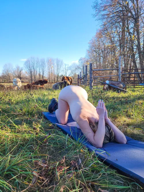 praying the bull doesn't try to escape with me here