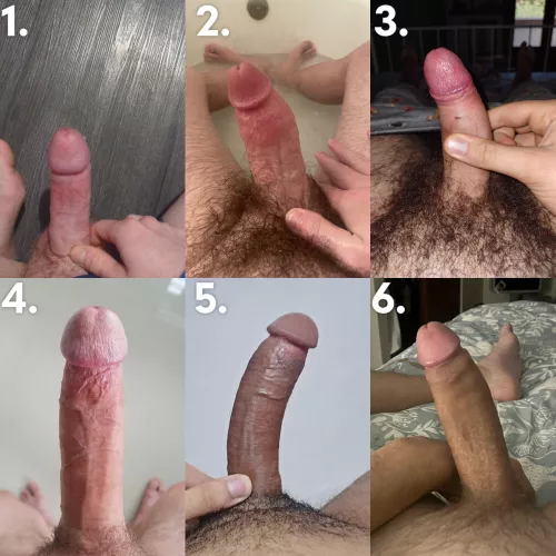 Rank these cocks!!!