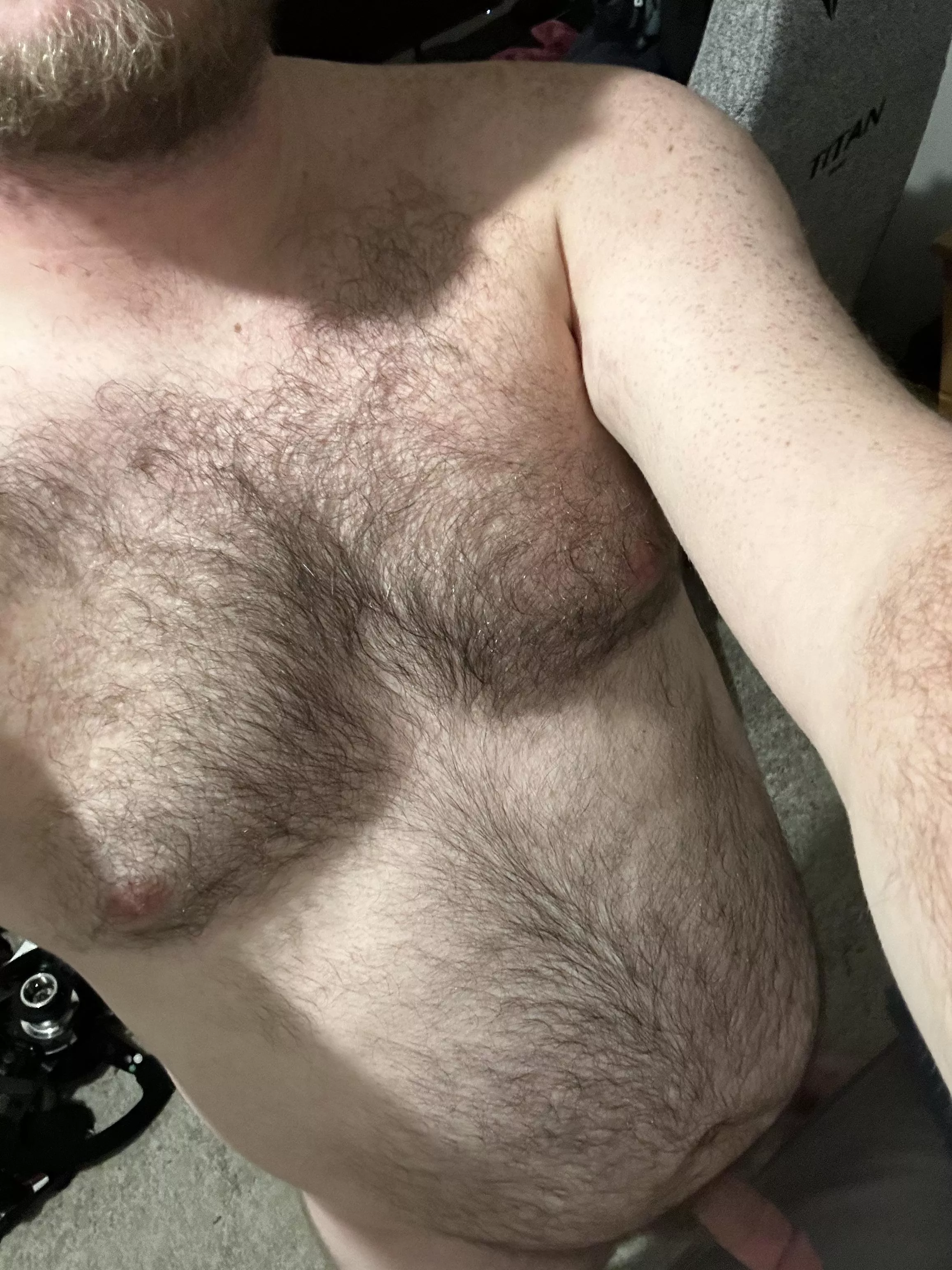 Rub my fur to make me hard? So horny, dms open ☺️