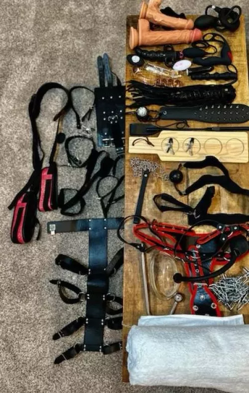 What should we play with first?