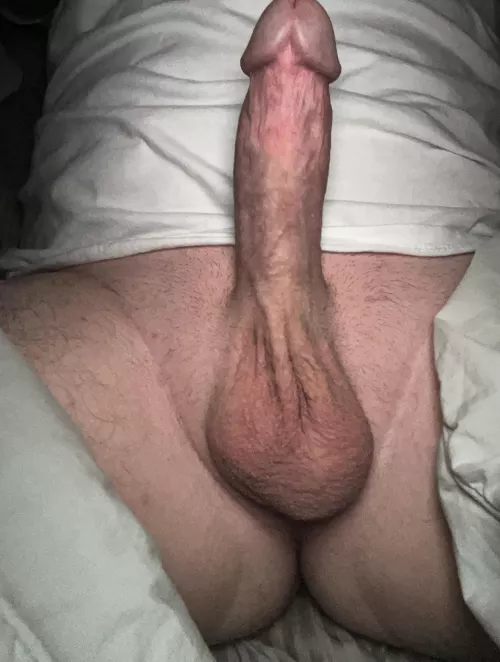 Would you fuck the dad next door?