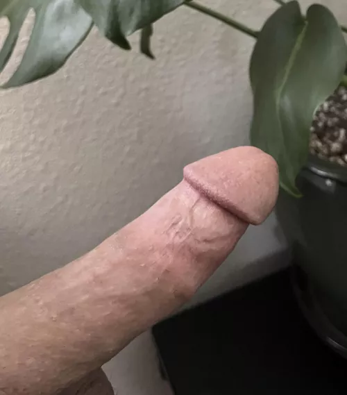 Would you suck it if you walked in?