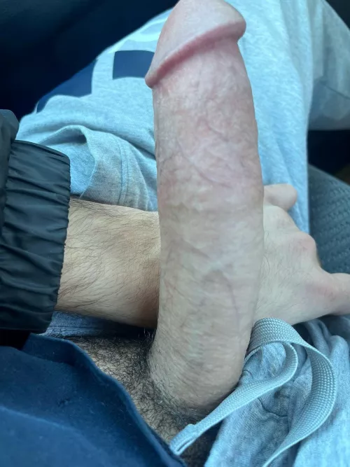Cock in the car 🚗