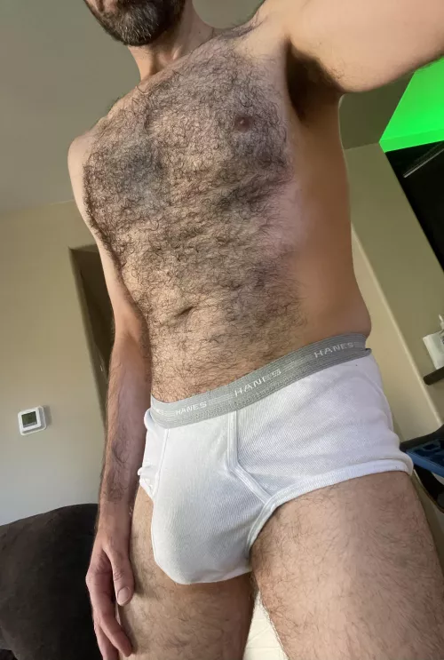 Hairy and bulging in my briefs