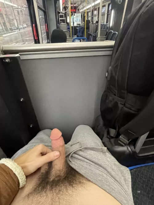 Horny on the bus