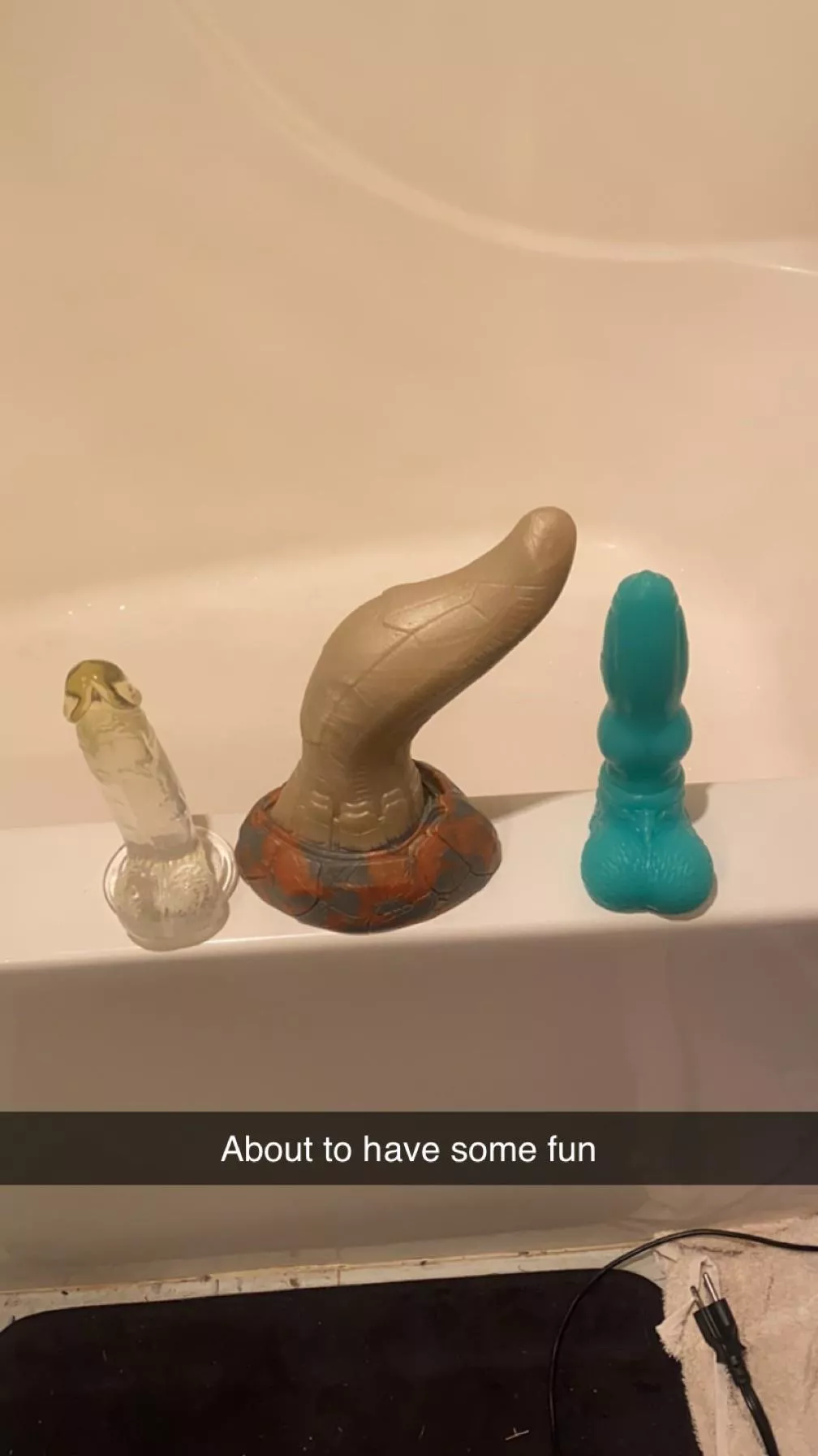 I have the house to myself.