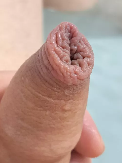 I like my foreskin hope you do too